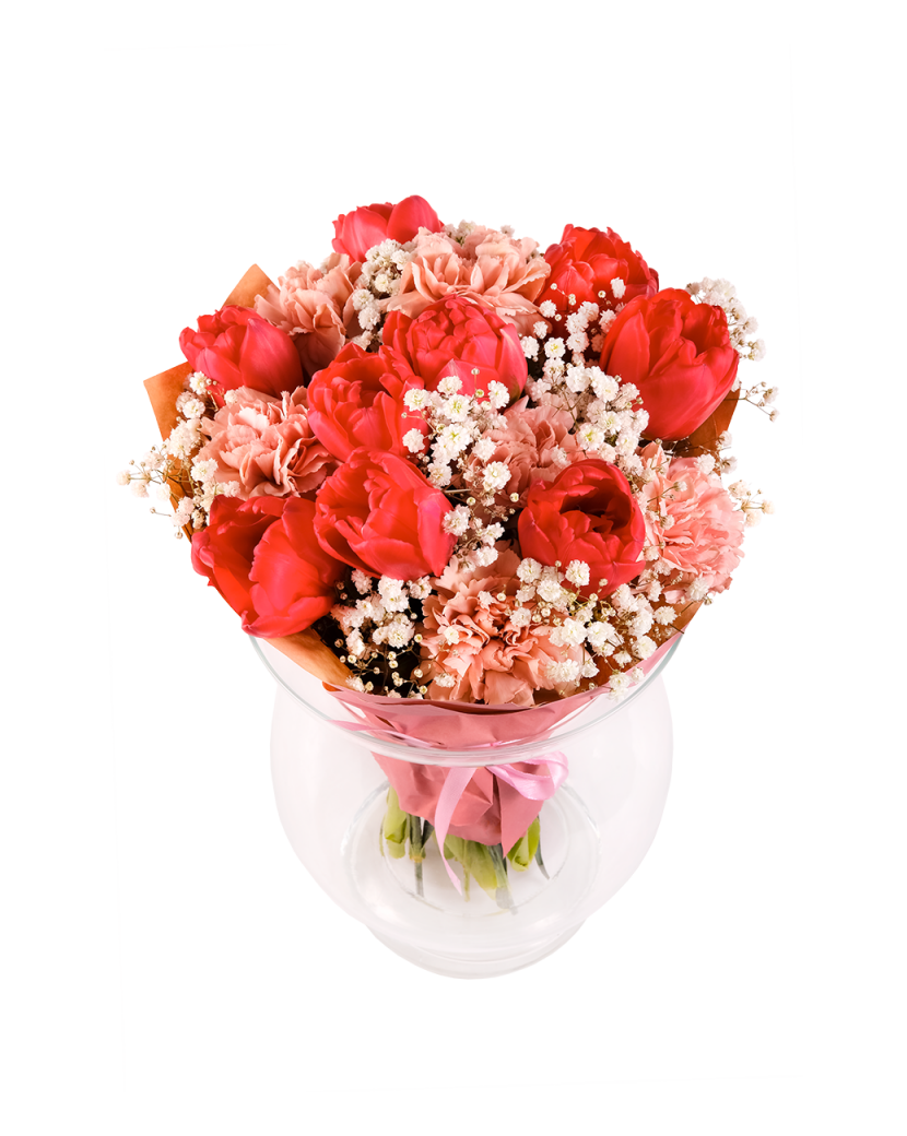 Červenolososový pugét Standard