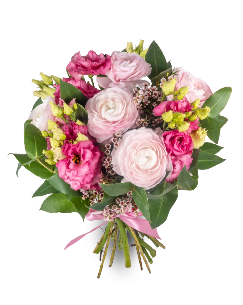 Eustomy, pryskyřníky Velký (L)