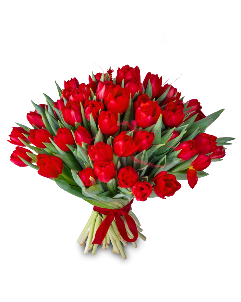 Levně Červené tulipány 20 Ks