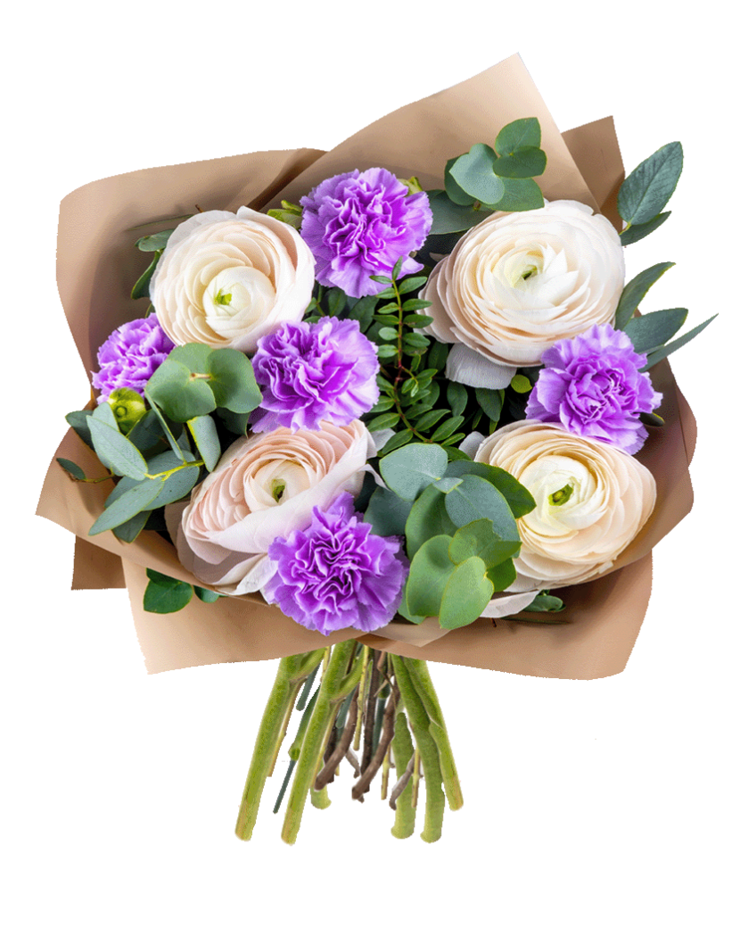 Karafiáty, pryskyřníky Standard