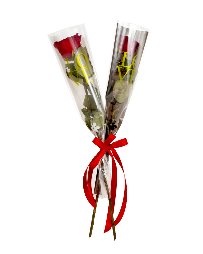 Rudá růže Love you