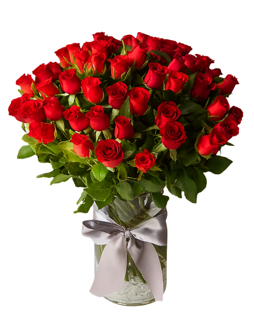 50 Rudých růží 50 Ks