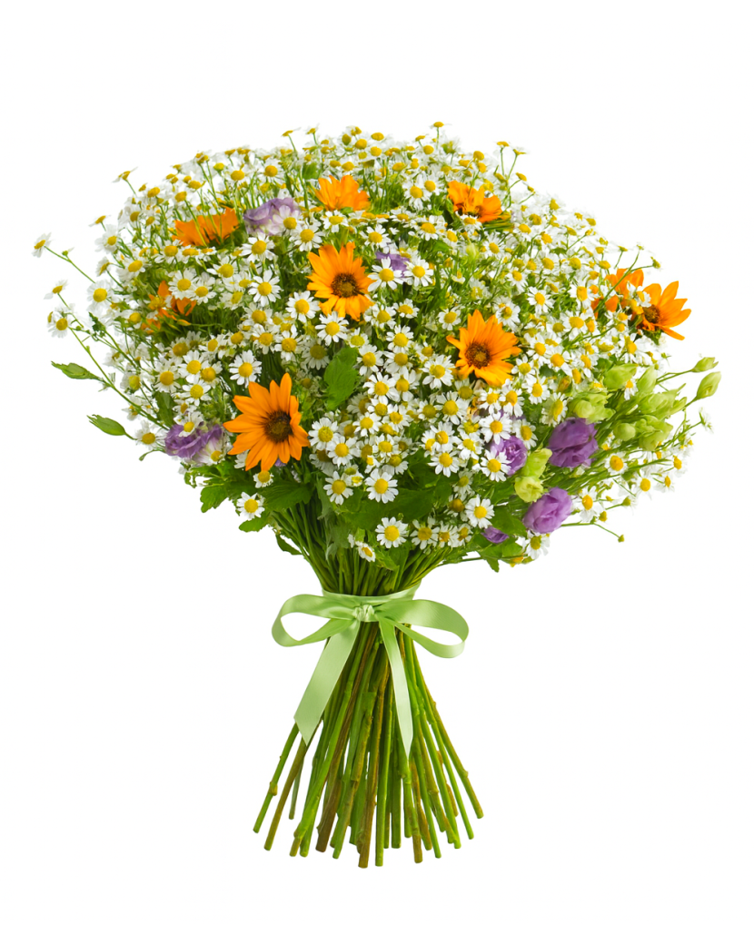 Mix slunečnice Střední (M)