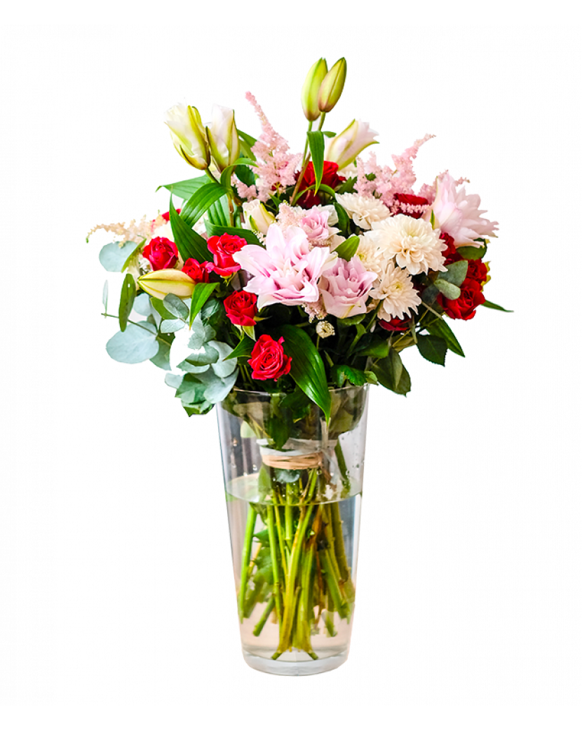 Bíločervený puget Lilií Standard