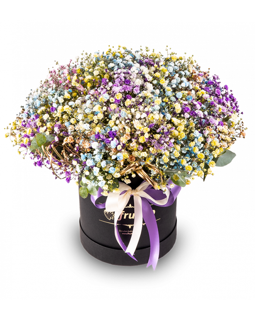 Duhový box s gypsou Standard