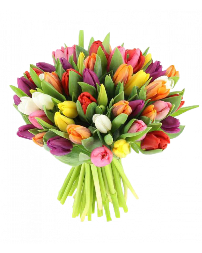 Barevné tulipány 30 Ks