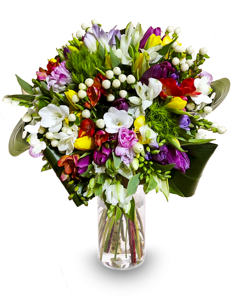 Barevný pugét Standard