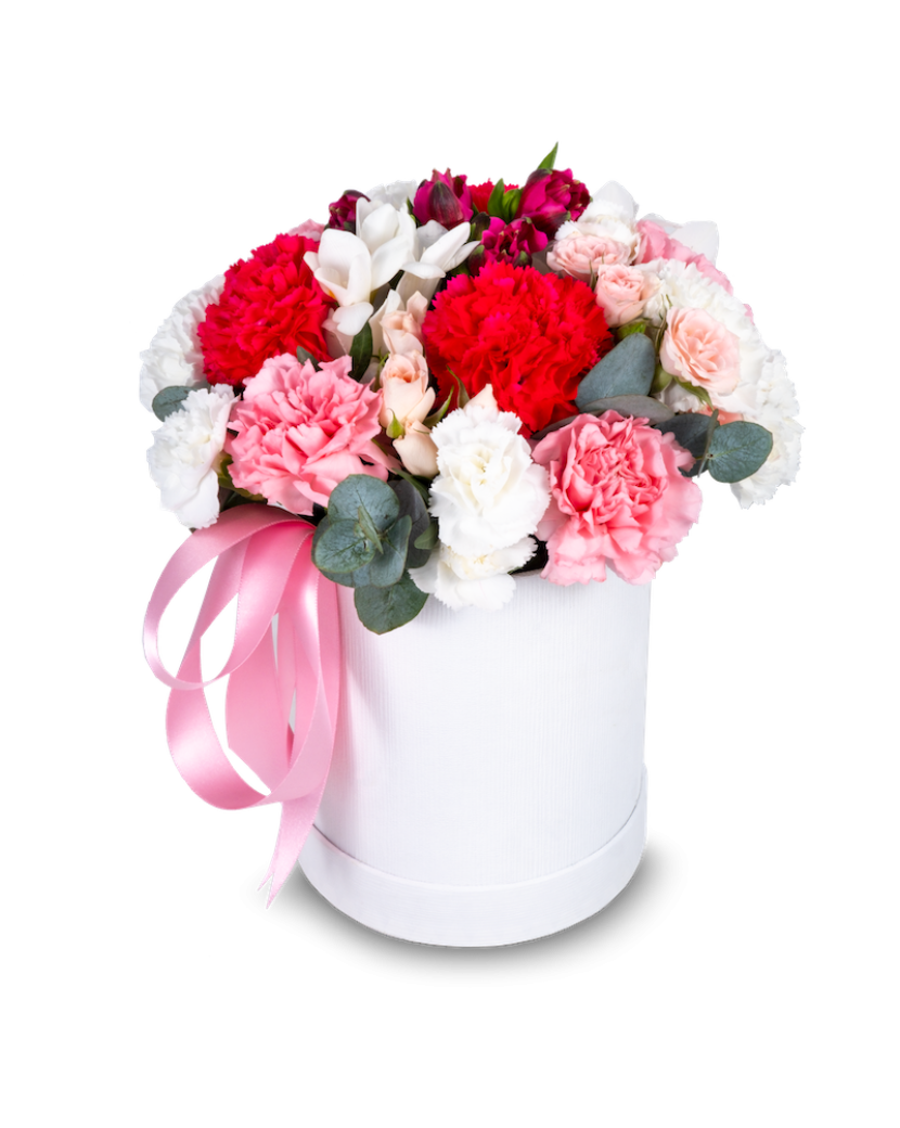 Krabice růžových karafiátů Standard