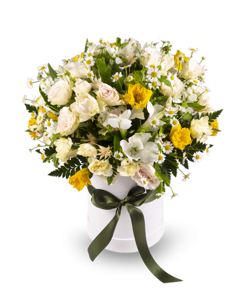 Heřmánkový flowerbox Standard