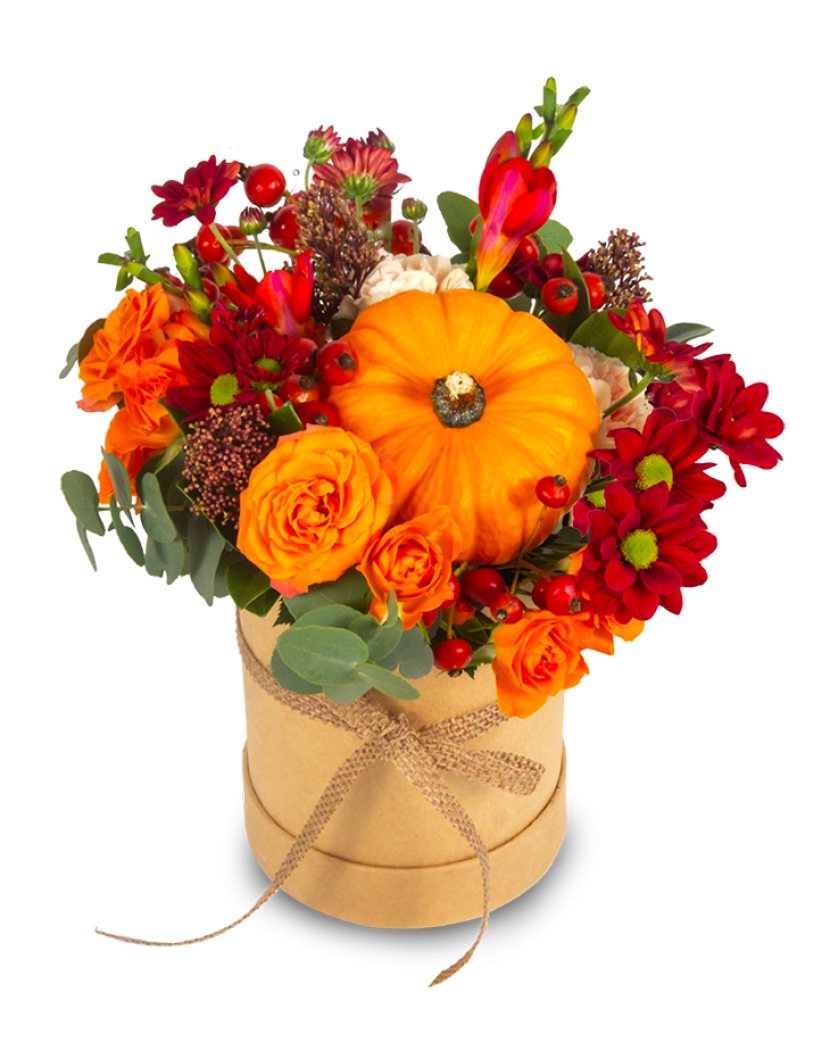 Halloweenský box s dýní Standard