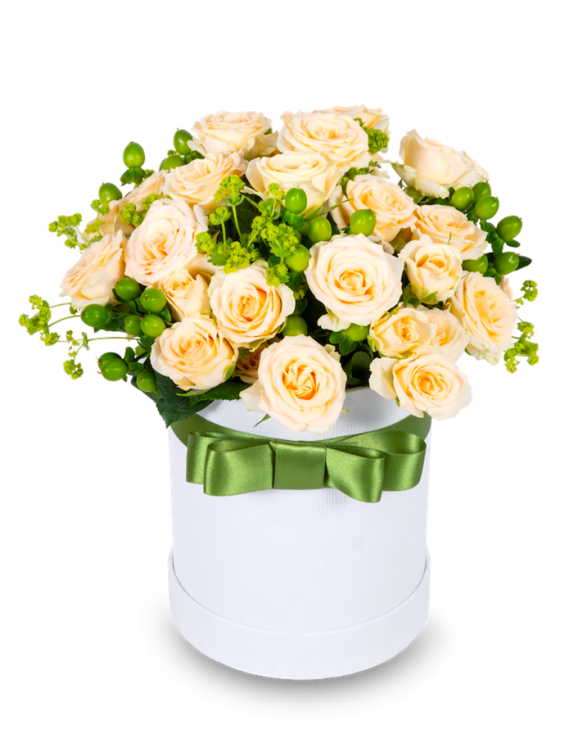 Krémové trsové růže Standard