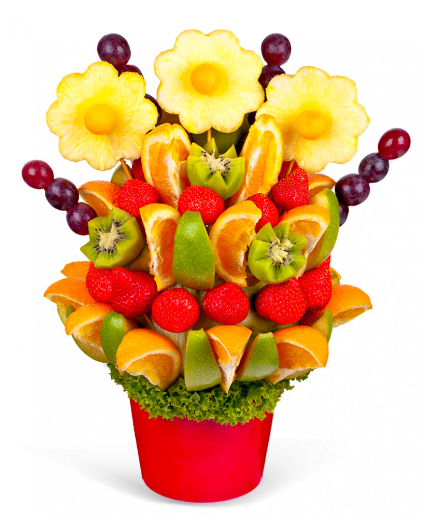 Pro radost Velký (L)