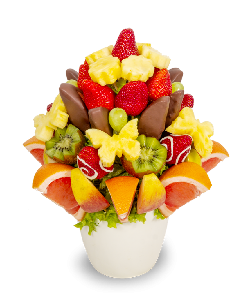 Křídla motýlí Velký (L)