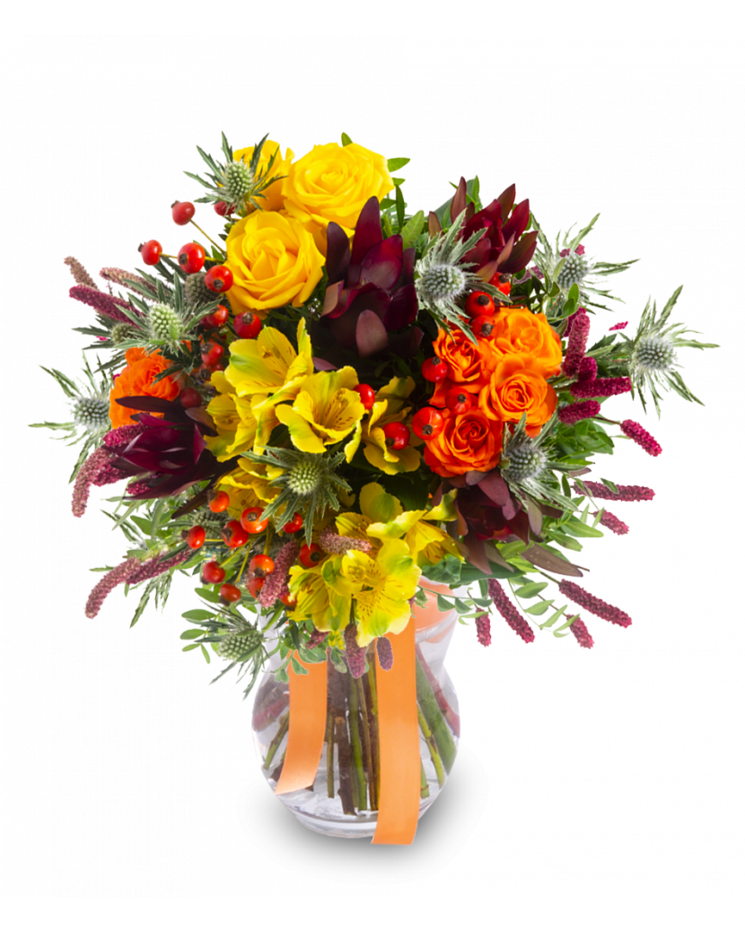 Pugét Kateřina Standard