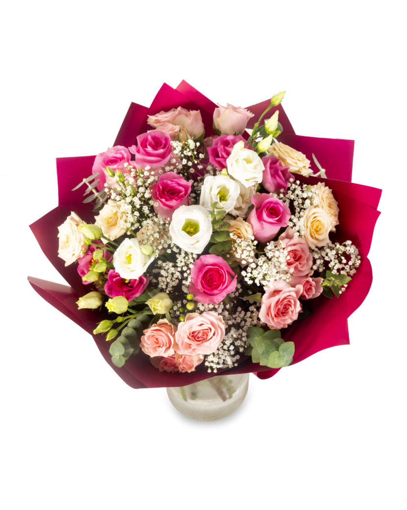 Pugét Růžový Standard