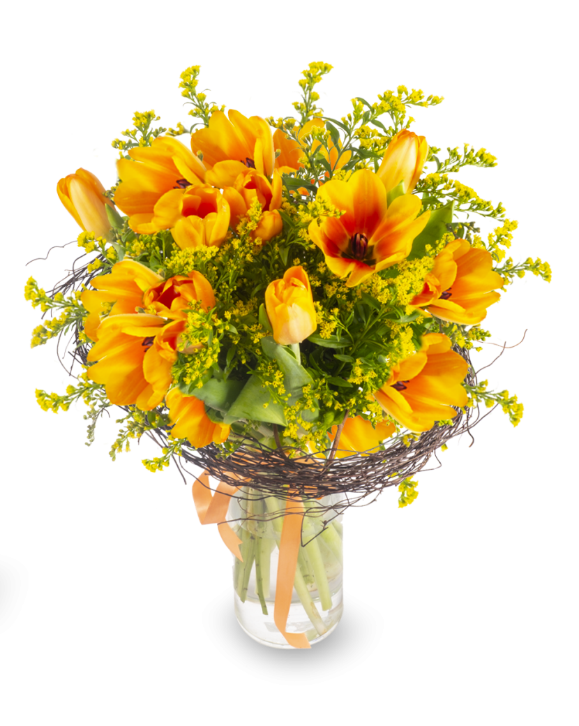 Puget oranžových tulipánů 15 Ks