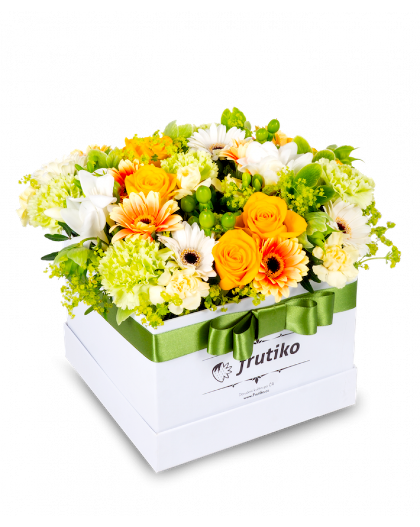 Žluto-zelený box Standard