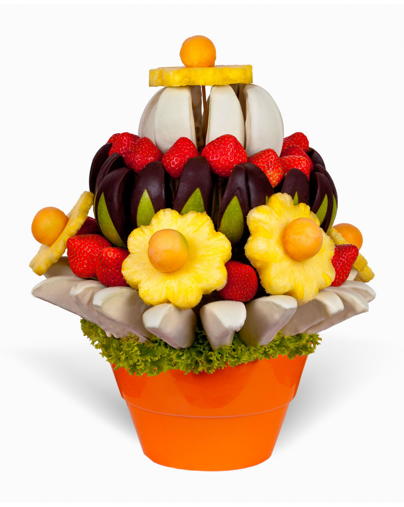 Sladké překvapení Střední (M)