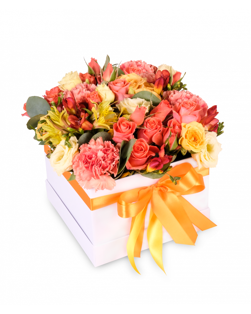 Květinový box oranžový Standard