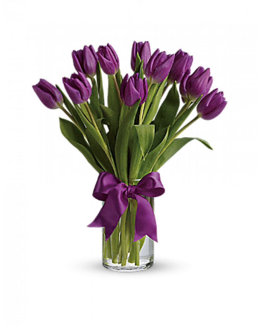 Fialové tulipány 30 Ks