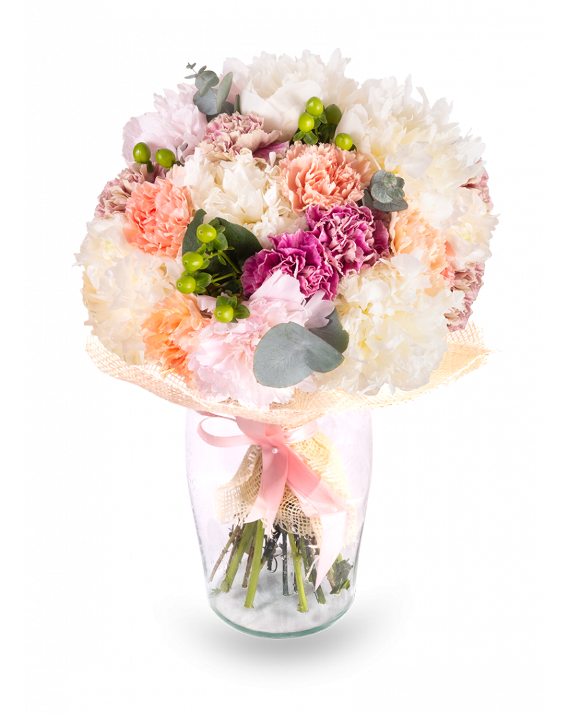 Pugét Pivoněk Standard