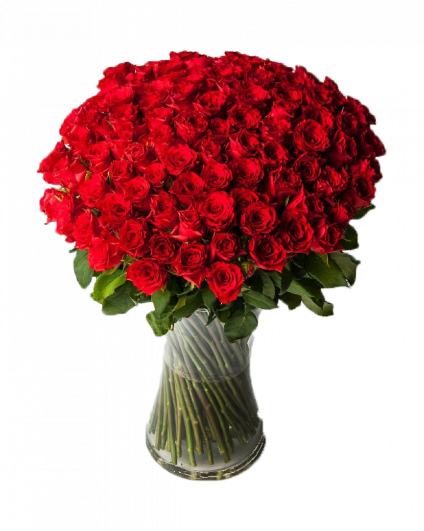 100 Rudých růží 101 Ks