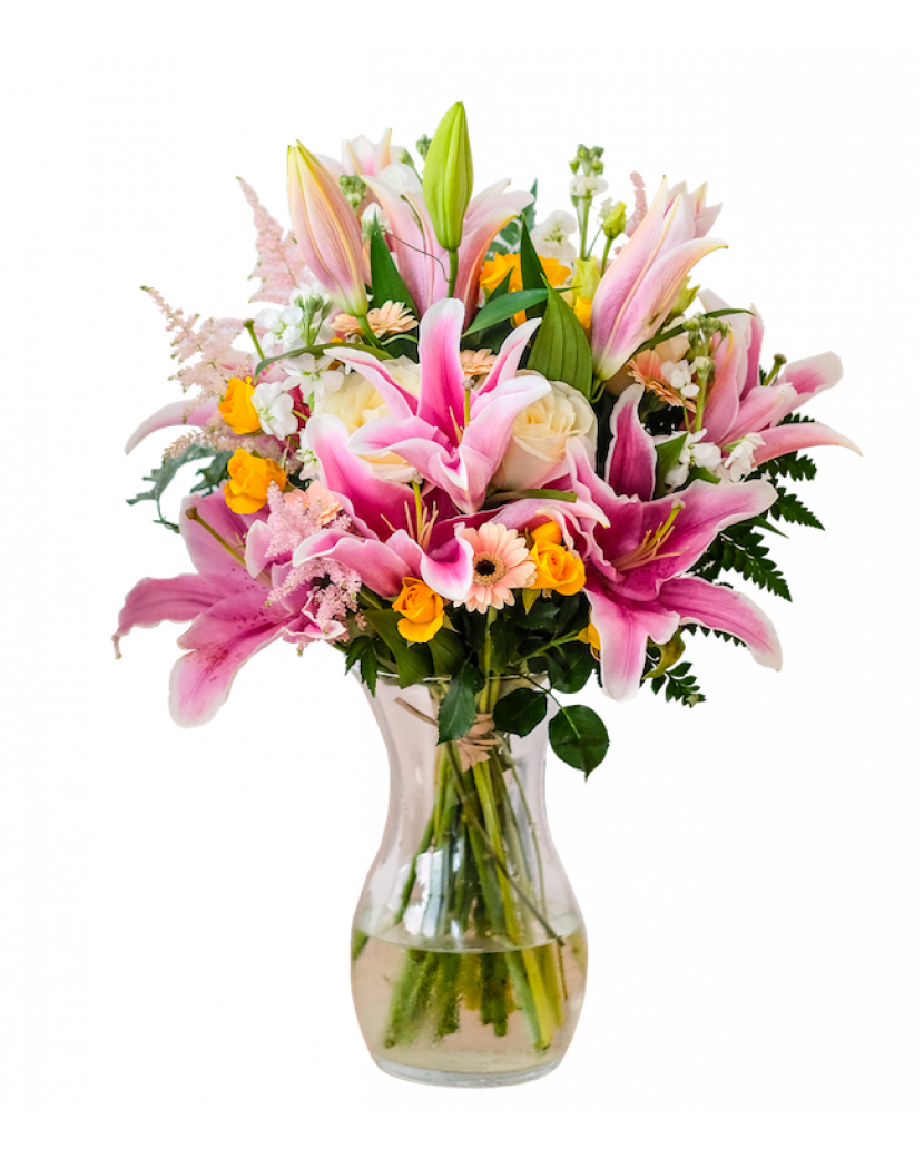Růžovo žluté lilie Standard