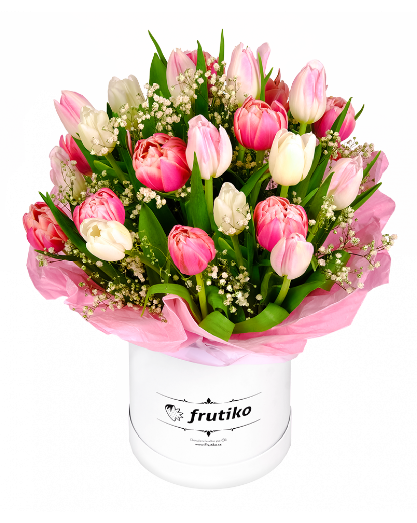 Bílo-růžové tulipány v krabici 30 Ks