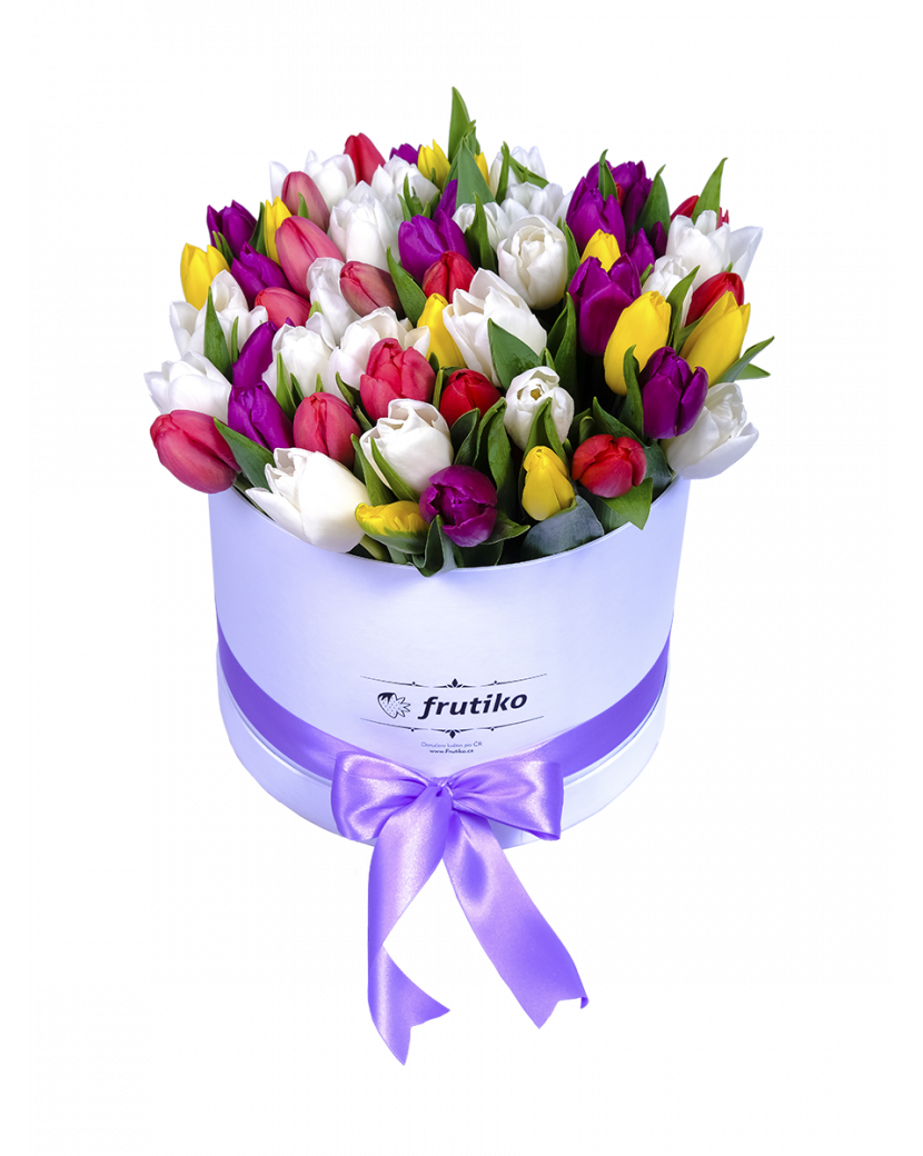 Krabice tulipánů MIX 30 Ks