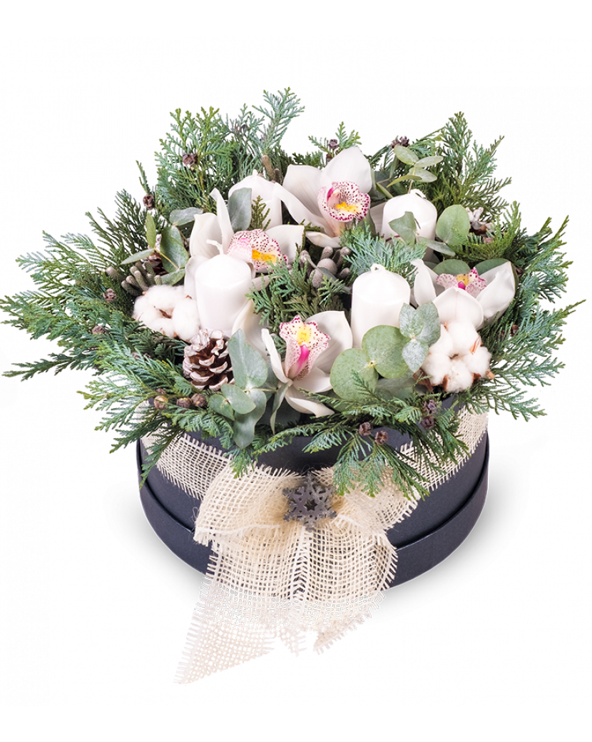 Zimní box Orchidej Standard