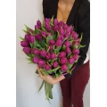 Purple tulips 2