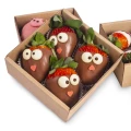 Animal Strawberries 4