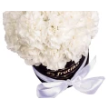 White Carnations Black Oval Box 2