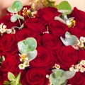 50 Red Roses, Eucalypt 2