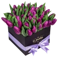 чёрнaя кoробка фиолетовых тюльпанов 2