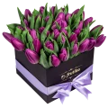 Black Box of Purple Tulips 2