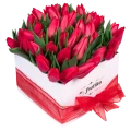 White Box of Red Tulips 4