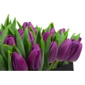 чёрнaя кoробка фиолетовых тюльпанов 4