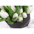 Black Box Oval of White Tulips 2