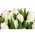 Чёрнaя кoробка с белыми тюльпанами- овальнaя  2