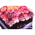 Black Box of Multi Color Carnations  5