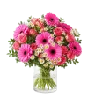 Pink Gerberas Bouquet