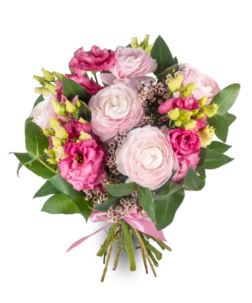 Eustomy, pryskyřníky