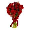 Rote Tulpen 2