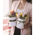 Farbige Tulpen im Weißen Box 5