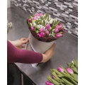 Box of White&Pink Tulips 3