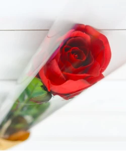 Красная роза Love you
