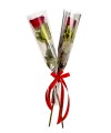 Rote Rose Love you