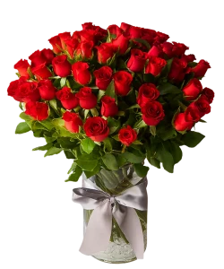Red Roses