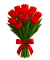 Red Tulips